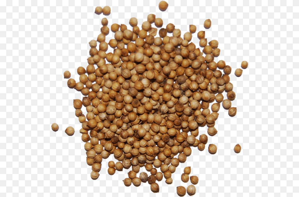 Coriander Seed Condiment, Food, Mustard, Produce Free Transparent Png