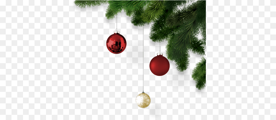 Cork Christmas Trees Real Ireland Decoration Christmas, Accessories, Plant, Tree, Jewelry Png