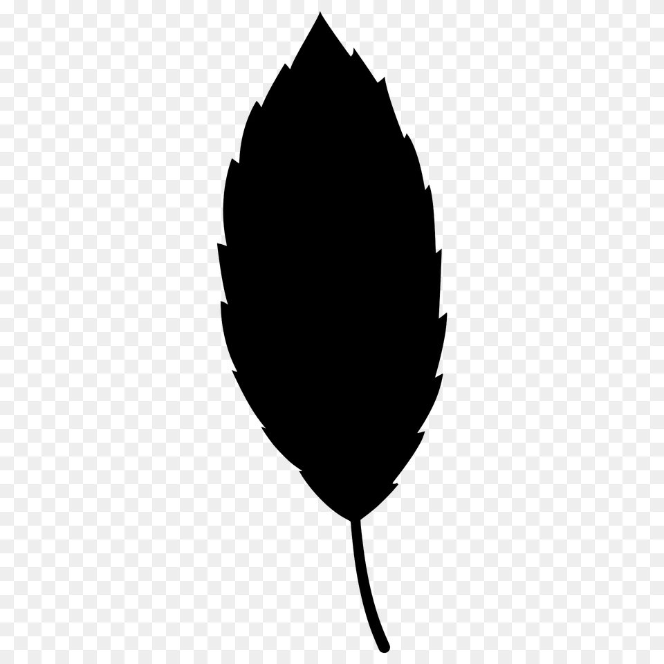 Cork Oak Leaf Silhouette, Plant Free Png Download