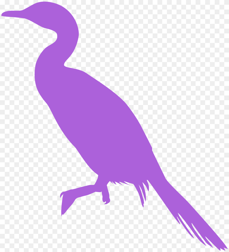 Cormorant Silhouette, Animal, Bird, Waterfowl, Fish Free Png