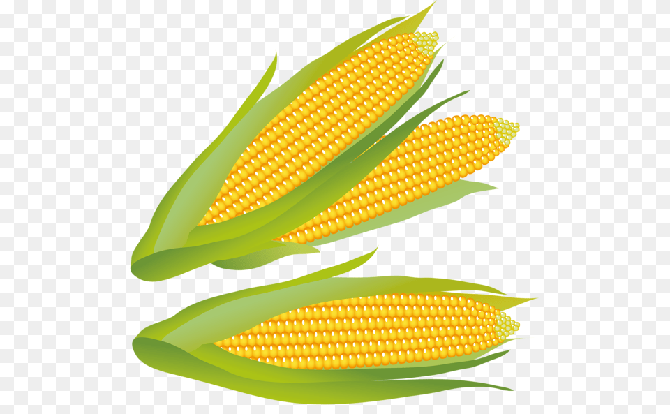 Corn, Food, Grain, Plant, Produce Free Png Download
