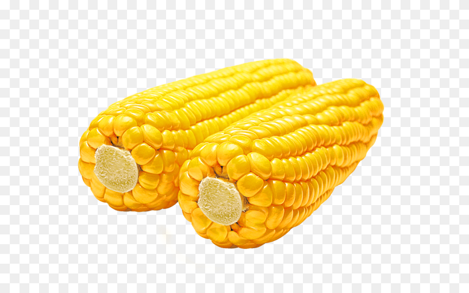 Corn, Food, Produce, Grain, Plant Free Png