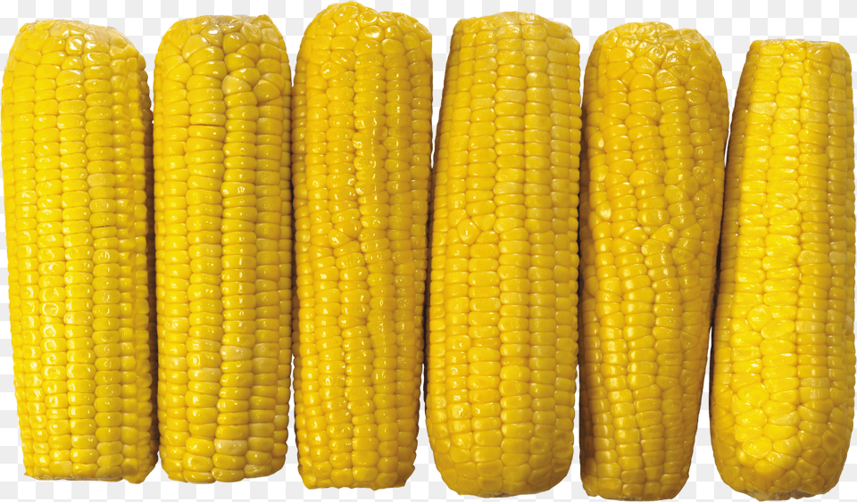 Corn Png