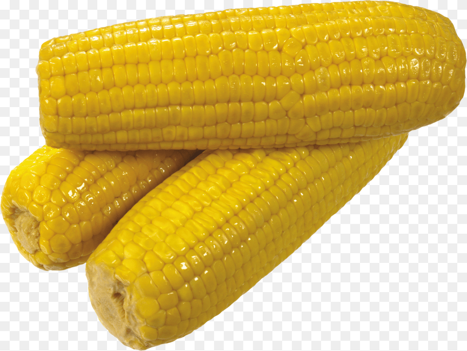 Corn Free Transparent Png