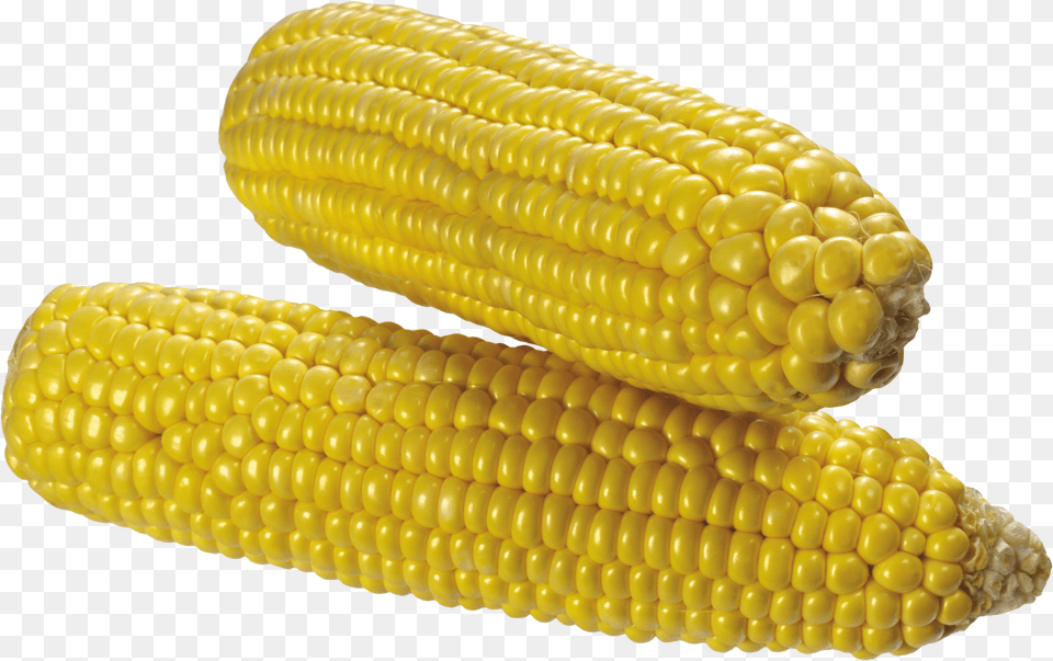 Corn Free Transparent Png