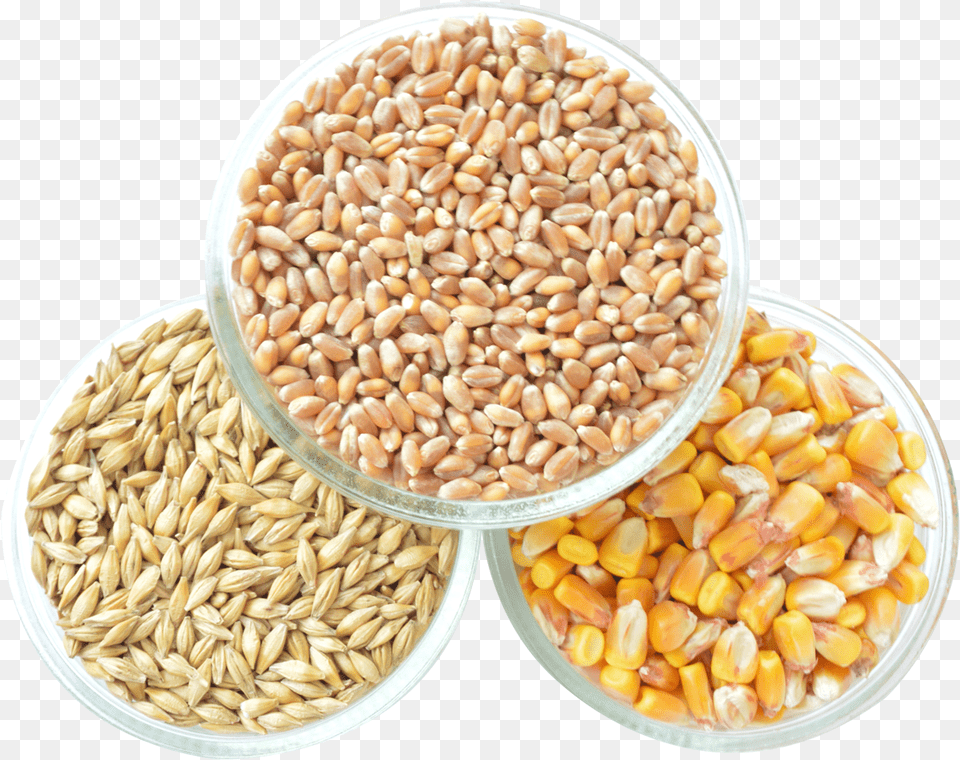 Corn, Food, Grain, Produce, Plate Free Png Download