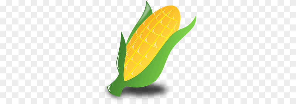 Corn Food, Grain, Plant, Produce Free Png Download