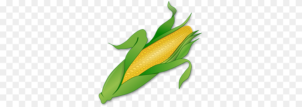 Corn Food, Grain, Plant, Produce Png