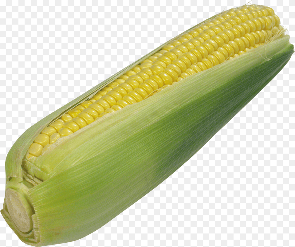 Corn, Baby, Person, Ice Cream, Food Png Image