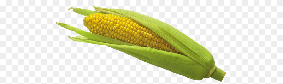 Corn, Food, Grain, Plant, Produce Free Png Download