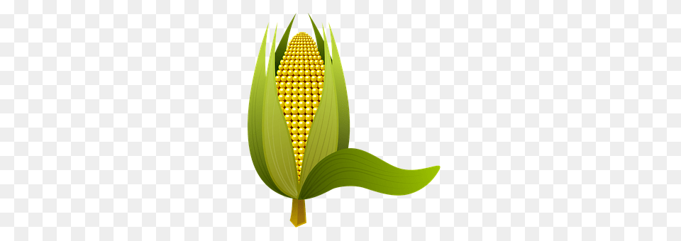 Corn Food, Grain, Plant, Produce Png Image