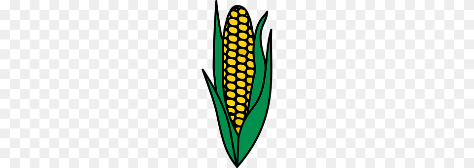 Corn Food, Grain, Plant, Produce Png Image