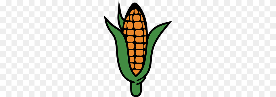 Corn Food, Grain, Plant, Produce Free Transparent Png