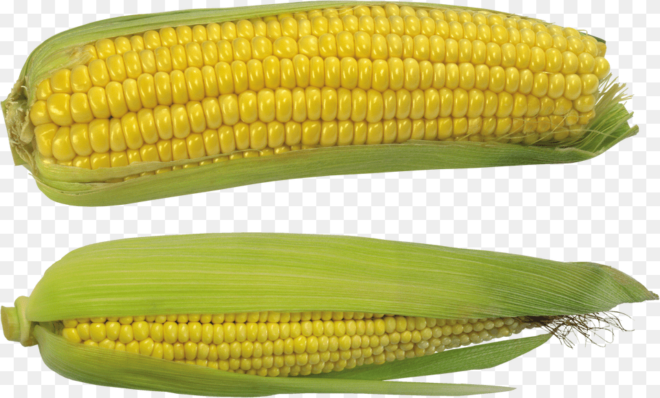 Corn Free Png Download