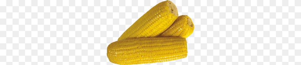 Corn, Animal, Reptile, Snake, Food Free Transparent Png