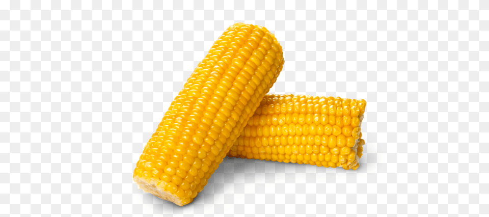 Corn, Food, Grain, Plant, Produce Free Png