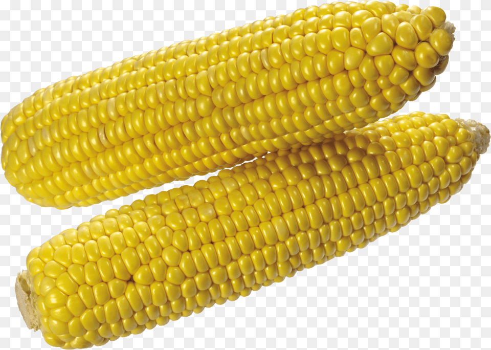 Corn Free Transparent Png