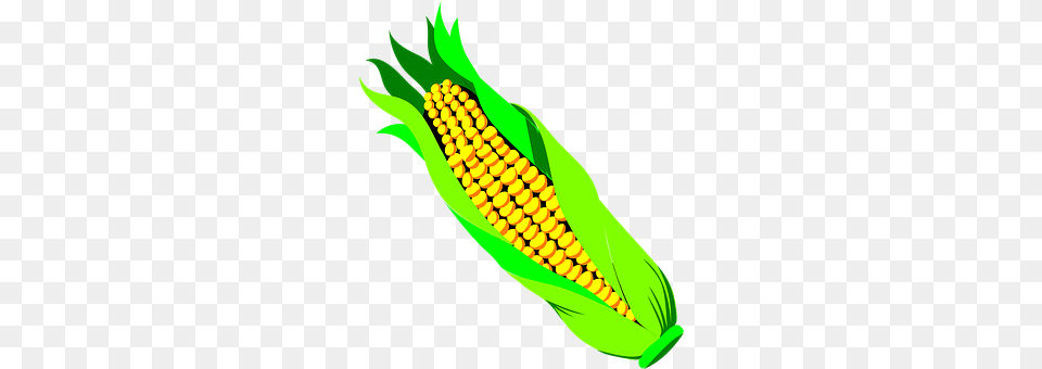 Corn Food, Grain, Plant, Produce Png