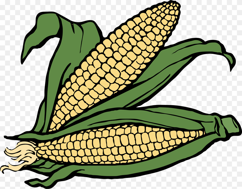 Corn, Food, Grain, Plant, Produce Free Png