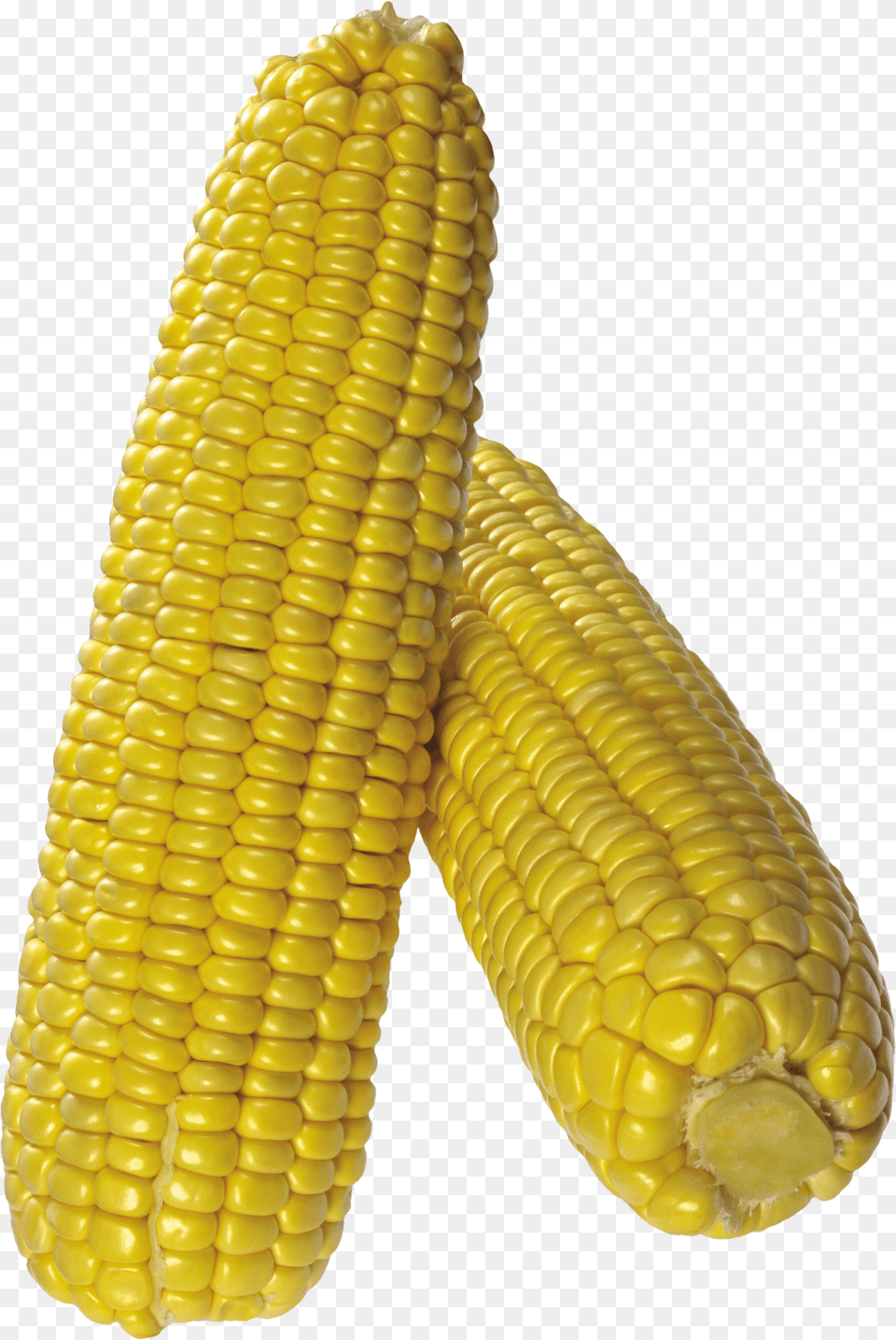 Corn Png