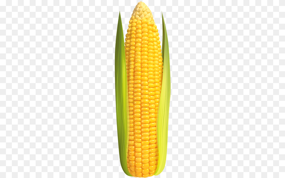 Corn, Food, Grain, Plant, Produce Free Transparent Png