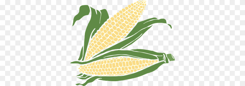 Corn Food, Grain, Plant, Produce Free Transparent Png