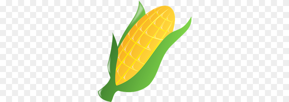 Corn Food, Grain, Plant, Produce Free Transparent Png