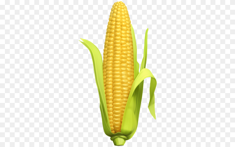 Corn, Food, Grain, Plant, Produce Free Png Download