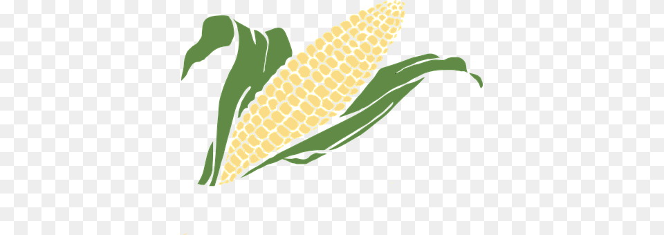 Corn Food, Grain, Plant, Produce Free Png