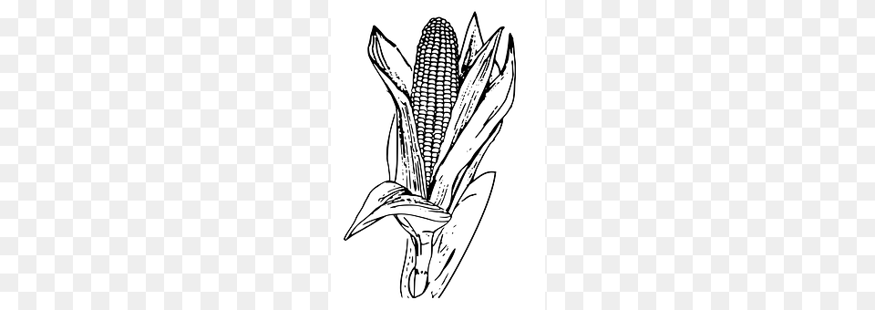 Corn Food, Grain, Plant, Produce Png