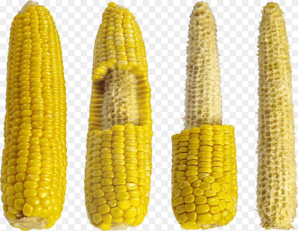 Corn Free Png Download