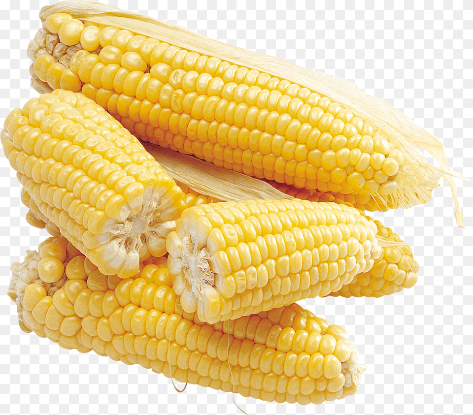 Corn, Food, Grain, Plant, Produce Png Image