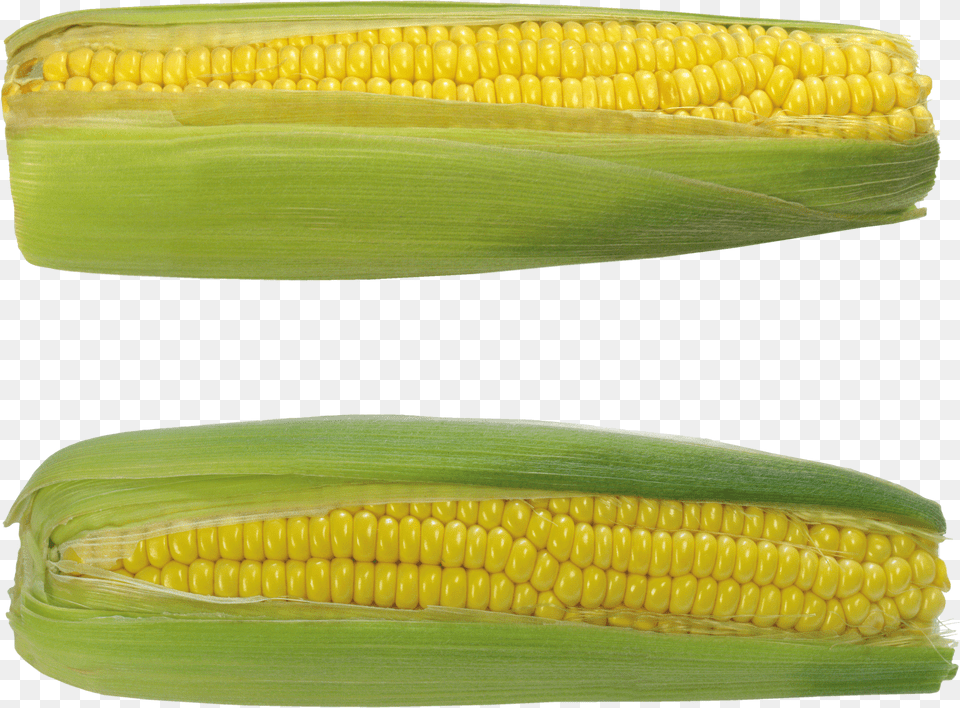 Corn Png