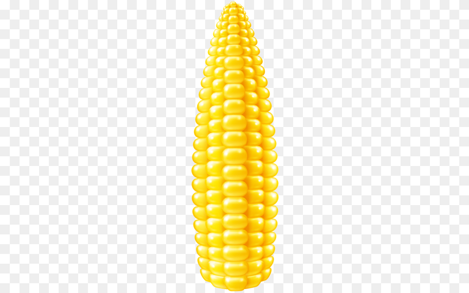 Corn, Food, Grain, Plant, Produce Png