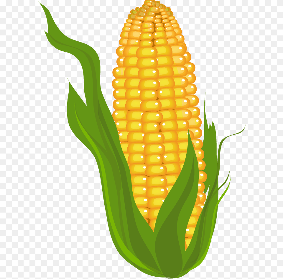 Corn, Food, Grain, Plant, Produce Free Transparent Png