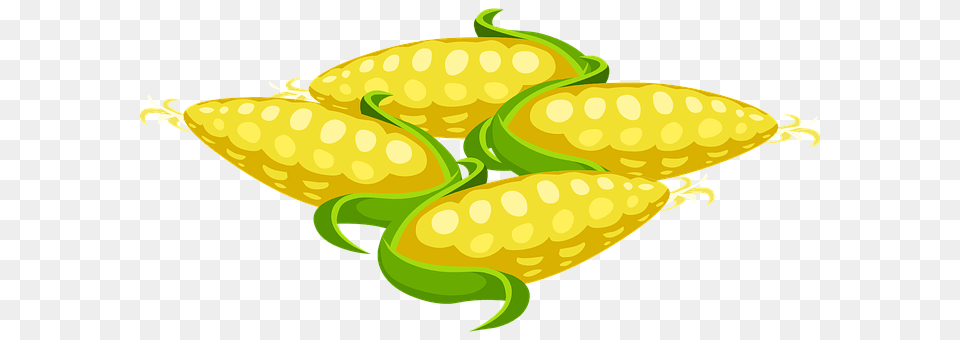 Corn Food, Produce, Grain, Plant Free Png