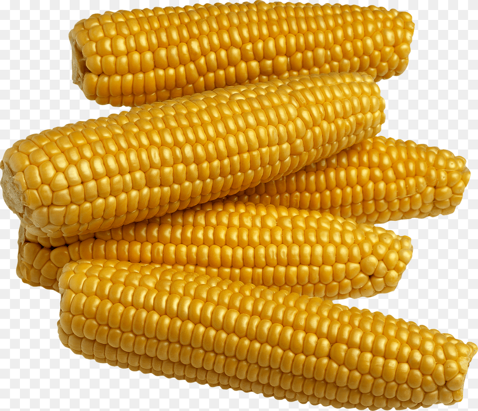 Corn, Food, Grain, Plant, Produce Free Transparent Png