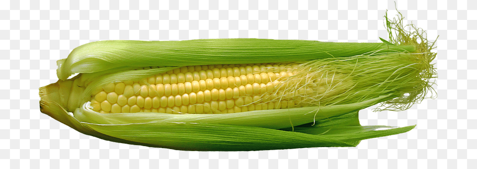 Corn Food, Grain, Plant, Produce Free Png