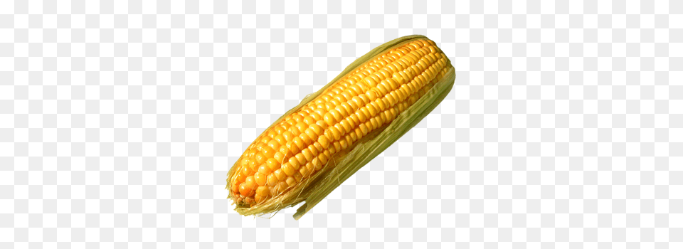 Corn, Food, Grain, Plant, Produce Png