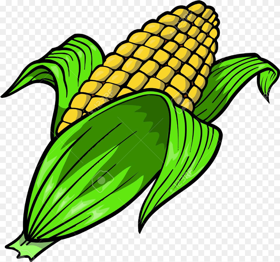 Corn Best Clipart Transparent Corn Clipart, Food, Grain, Plant, Produce Png