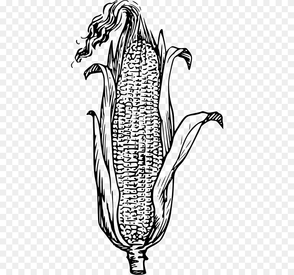 Corn Black And White, Gray Png