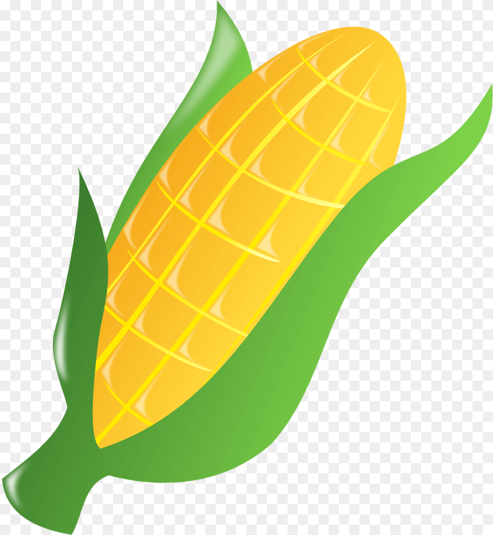 Corn Black White Line Art 999px 322 Clip Art Ear Of Corn, Food, Grain, Plant, Produce Free Png