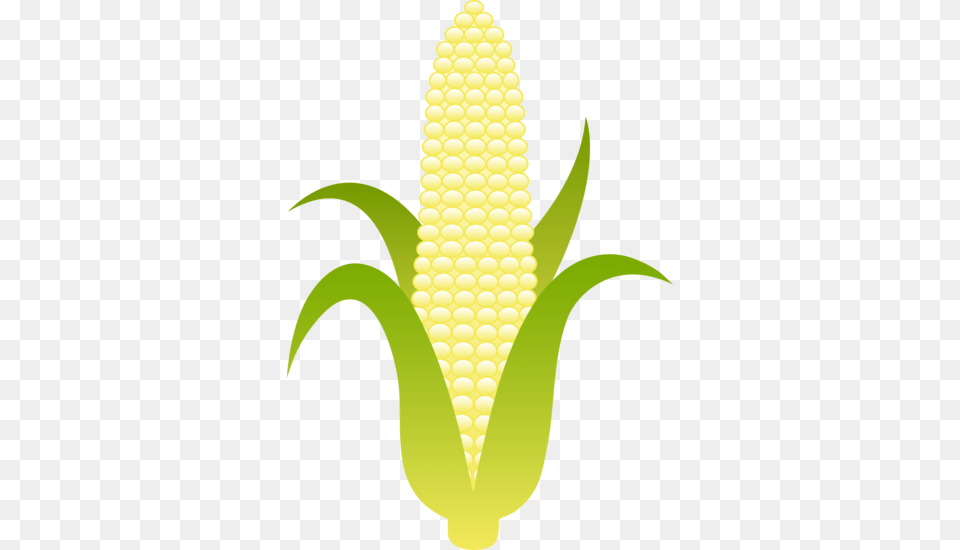 Corn Clip Art, Food, Grain, Plant, Produce Png