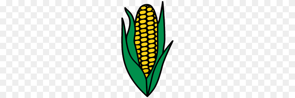 Corn Clip Art, Produce, Food, Grain, Plant Png