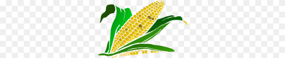 Corn Clip Art, Food, Grain, Plant, Produce Png