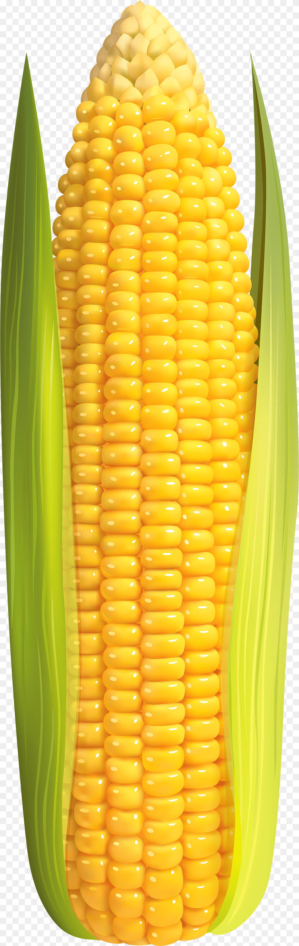 Corn Clip Art High Resolution Corn On The Cob Free Png Download