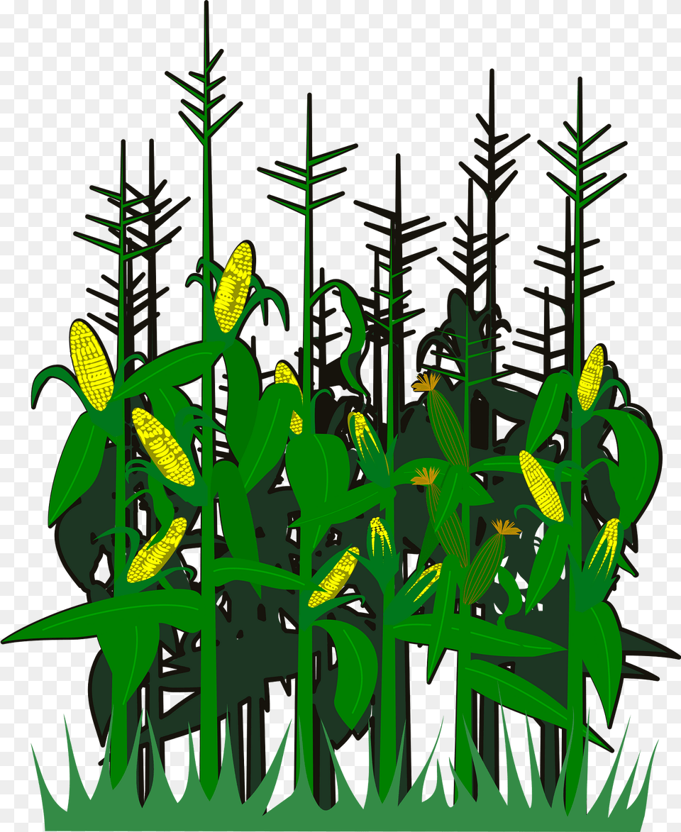 Corn Clipart, Vegetation, Green, Plant, Grass Free Png Download