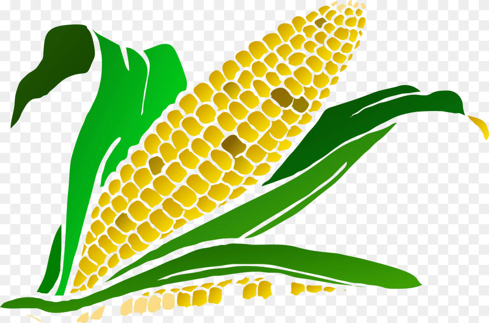 Corn Clipart, Food, Grain, Plant, Produce Png