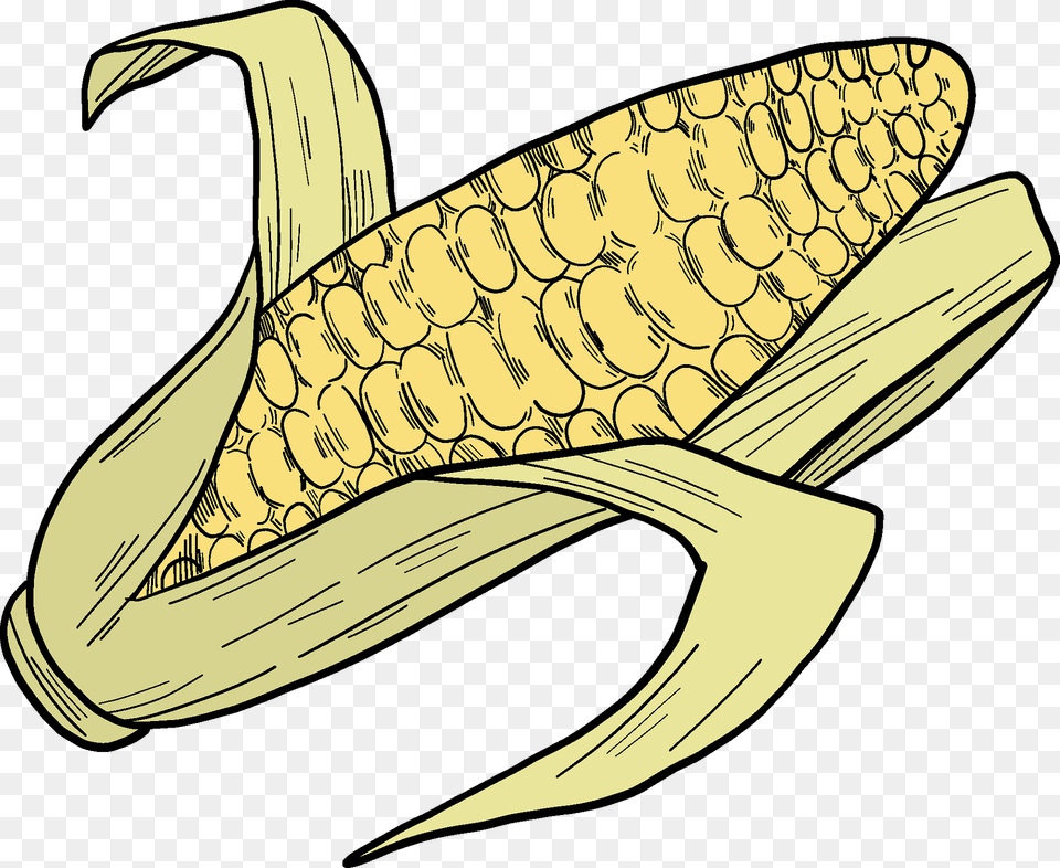 Corn Clipart, Food, Grain, Plant, Produce Png Image
