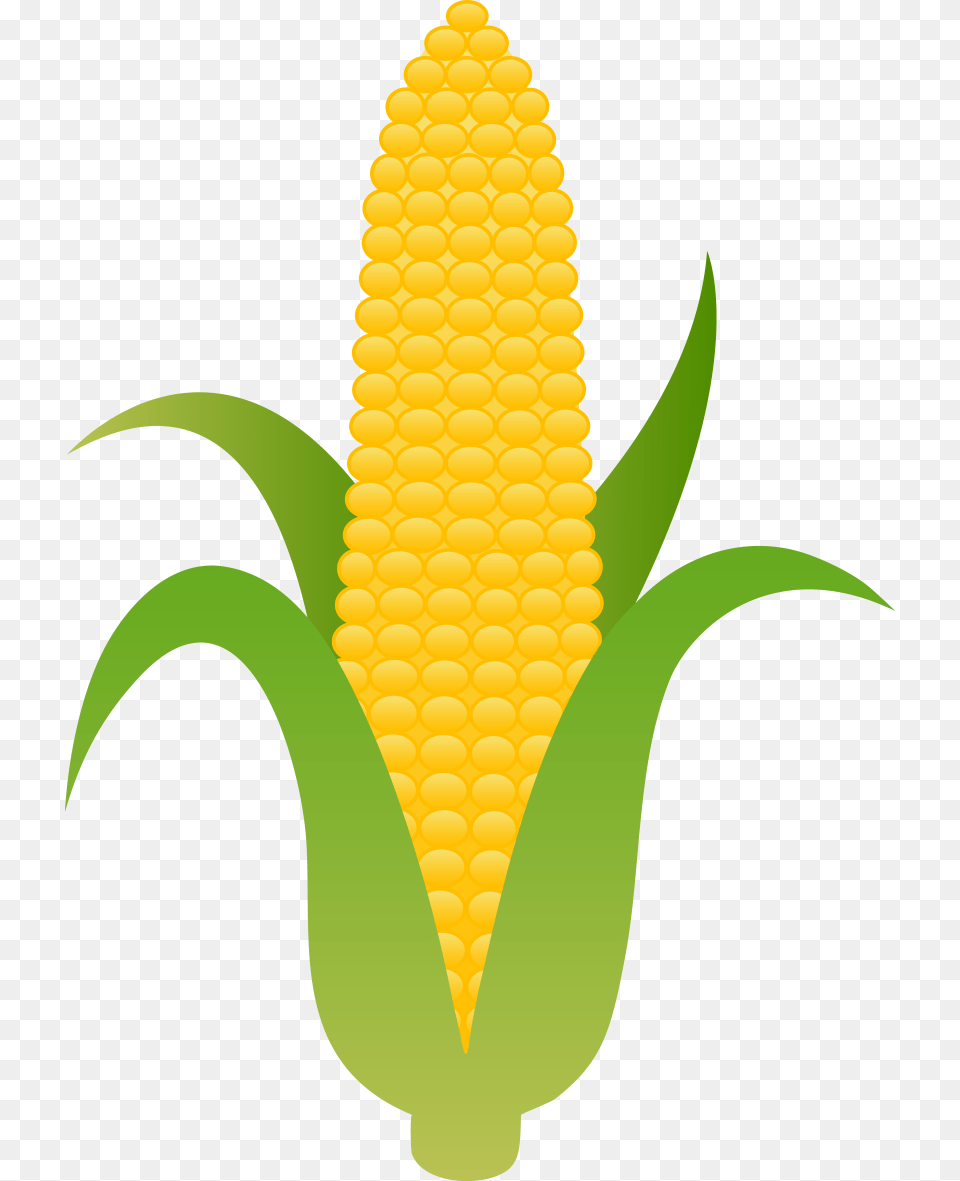 Corn Clipart, Food, Grain, Plant, Produce Free Png Download